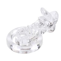 Chisa The Tongue-Clear, Bild 2