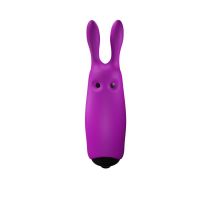 Adrien Lastic Lastic Pocket Vibro-Bullet (Lila), Bild 5