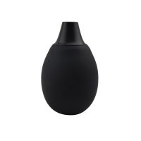 Chisa Analdusche The Bulb