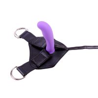 Chisa Harness und Dildo Amor, Bild 2