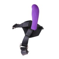 Chisa Harness und Dildo Amor, Bild 3