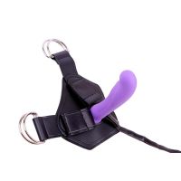Chisa Harness und Dildo Amor, Bild 4