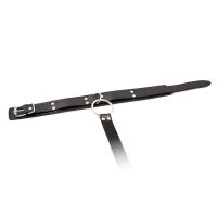 LateToBed verstellbares Halsband mit Fesseln (Schwarz), Bild 4