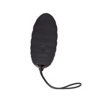 Adrien Lastic Vibro-Ei (Schwarz), Bild 2