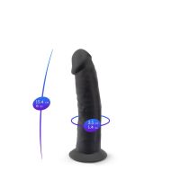 SilexD Dual-Density-Silikondildo Mod. 2 - 6" schwarz, Bild 5