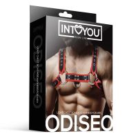 IntoYou Odiseo Brustharness für Männer, Veganleder, Bild 4