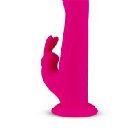 FeelzToys Whirl-Pulse Vibrator und Rotator mit Fernbedienung, Bild 2