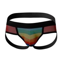 Cut4men C4M13 Mixed Jockstrap Regenbogen, Bild 5