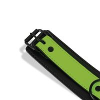 IntoYou Glow in the Dark Halsband mit Leine, Bild 3