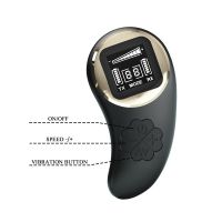 Pretty Love Nathan Paarvibrator mit Digitaldisplay und Fernbedienung, Bild 5