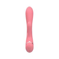 Chisa Coney Vibrator