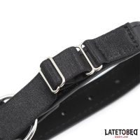 LateToBed Kopfharness mit Ballknebel und Nasenhaken, Bild 6