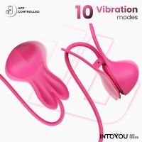 IntoYou Tickly Nippelklemmen mit Vibration und Fernbedienung, Bild 2