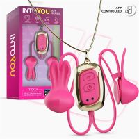 IntoYou Tickly Nippelklemmen mit Vibration und Fernbedienung
