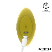 IntoYou Auria vibrierender Analplug, Bild 4