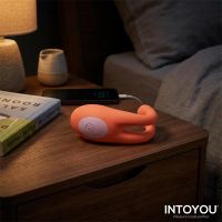 IntoYou Lovit Flexibles vibrierendes Paar-Toy, Bild 12